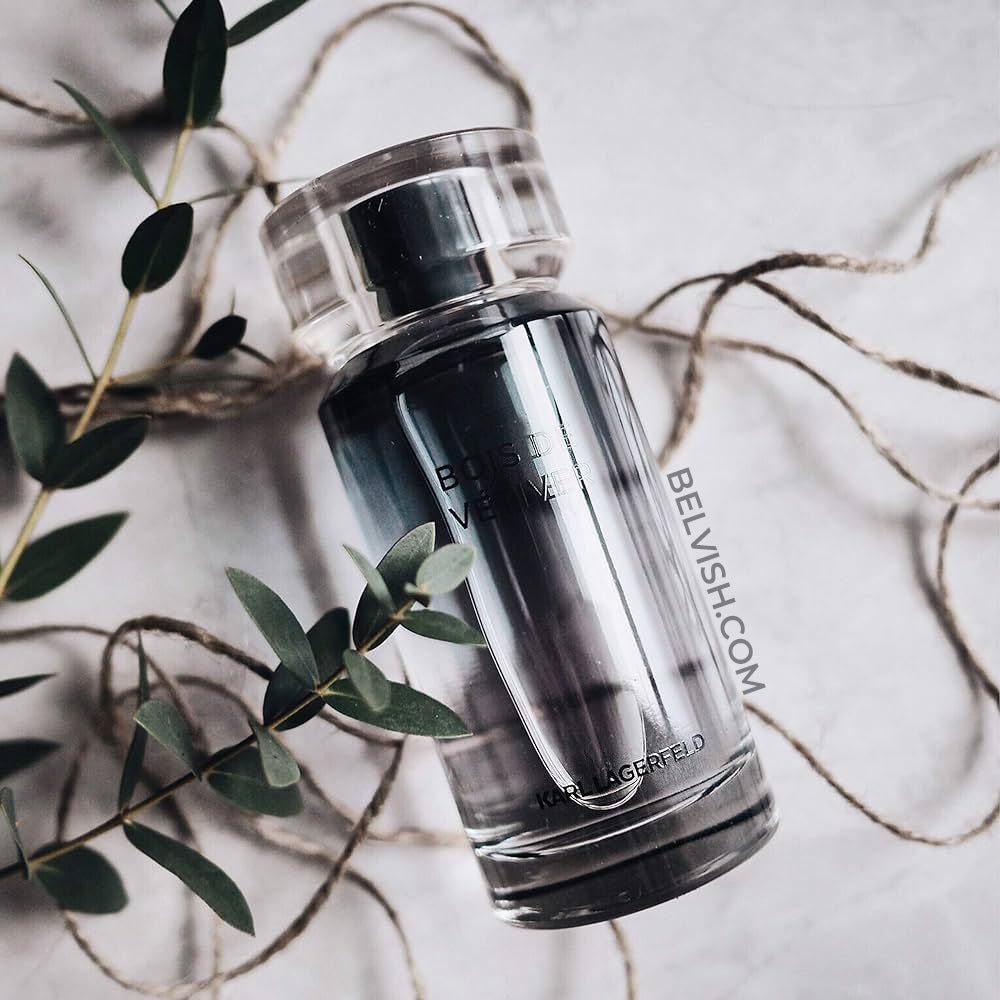 Karl Lagerfeld Bois de Vetiver EDT For Men