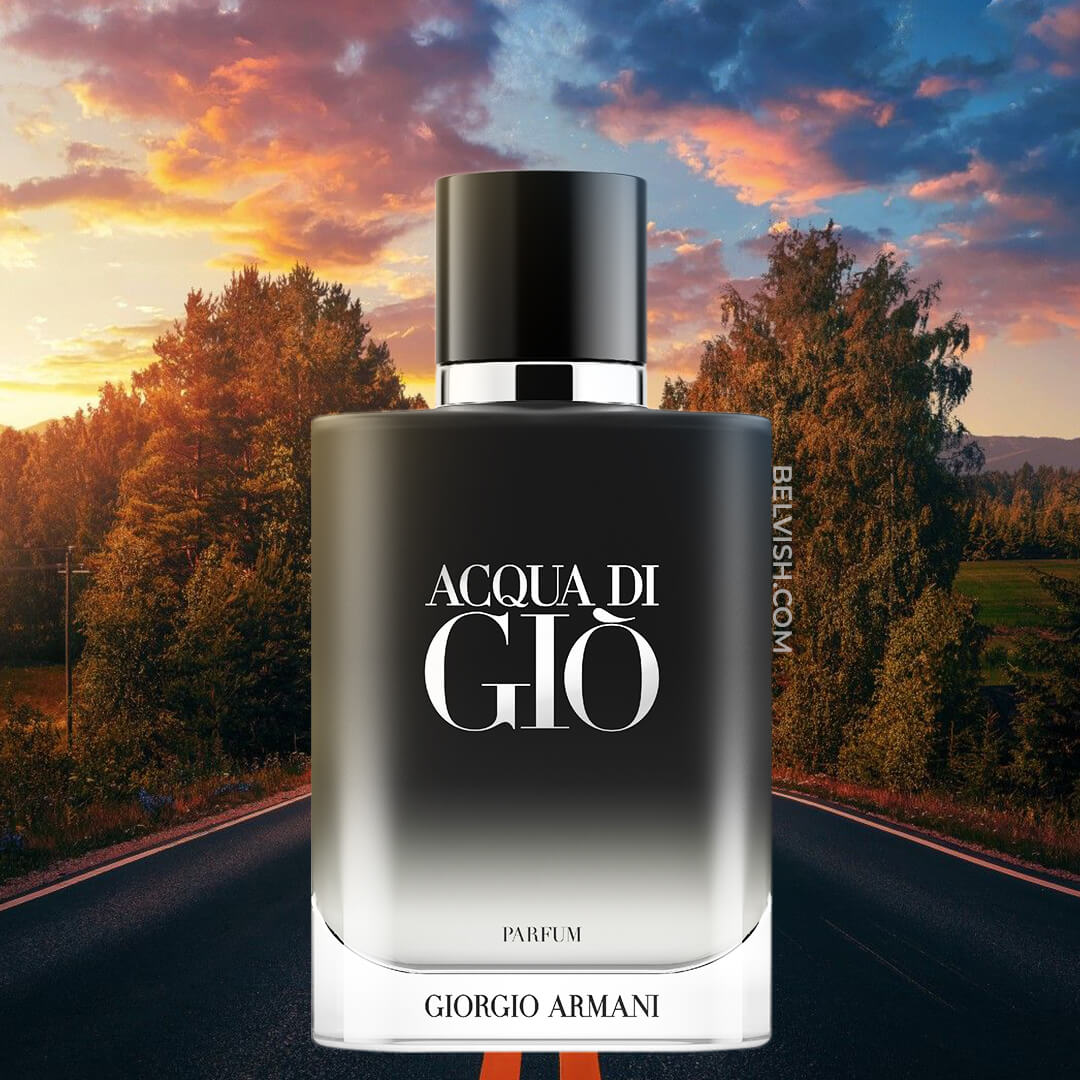 Giorgio Armani Acqua Di Gio Parfum for Men 2024